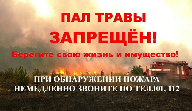 foto 2025 06 06 11 07
